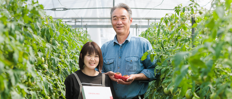 古賀とまと農園美味しさのわけ