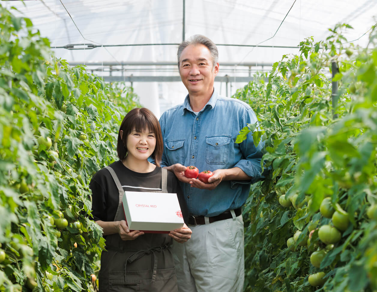 古賀とまと農園