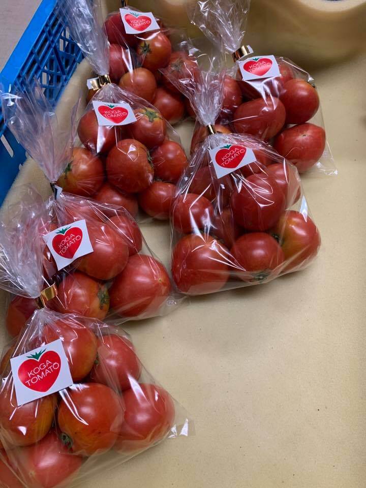古賀とまと農園　トマト