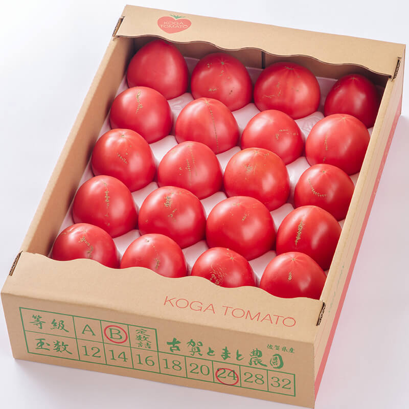 KOGATOMATO レギュラー4kg箱 B品