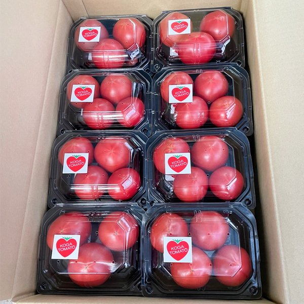 CRYSTAL RED　B　300gパック×16個セット