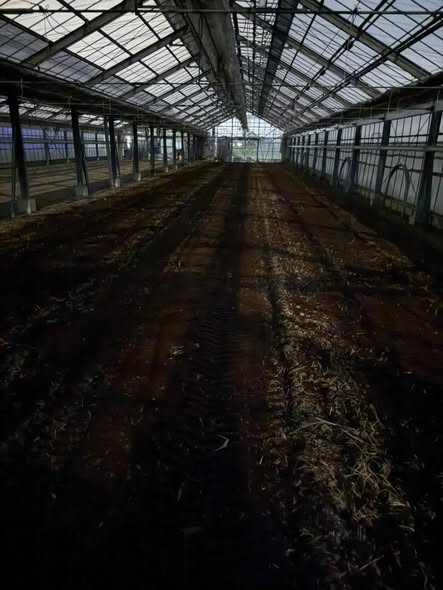 古賀トマト農園の育苗棟に施用した土壌改良資材