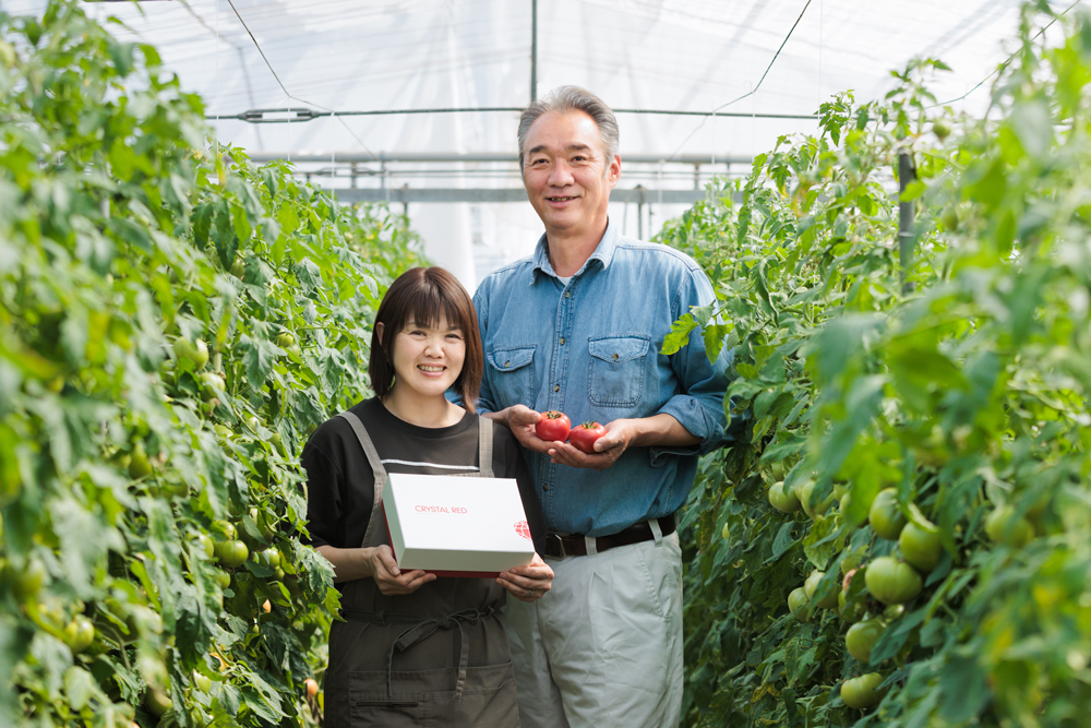 古賀とまと農園 生産者
